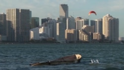 Miami Responds to Threat of Rising Seas