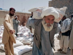 FILE - In this May 10, 2009 file photo, a man carries a sack of wheat distributed to poor displaced families, distributed by World Food Program in Kandahar, Afghanistan.