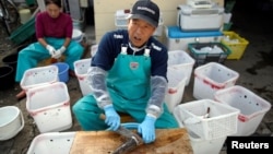 Fishing boat Shikishima-maru captain Yukio Yamamoto, 49, flanked by his mother Yoko, 70, cleans pufferfish near Ohara port in Isumi, east of Tokyo, Japan November 21, 2018. (REUTERS/Issei Kato) 