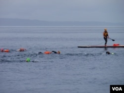 Safety kayaks and paddleboarders escorted paying customers on the group swim. (VOA / T. Banse)