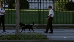 US Secret Service Boosts White House Security after Intrusion