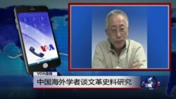 VOA连线高伐林: 中国海外学者谈文革史料研究