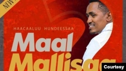 Albamiin Artiist Hacaaluu Hundeessaa tibba dhufu gadhiifama jedhame