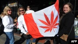 Sejumlah studi memperlihatkan penggunaan ganja di kalangan perempuan terus meningkat.