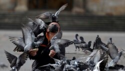 A man wearing a protective face mask feeds a flock of pigeons at Bolivar Square in Bogota, Colombia, Tuesday, July 21, 2020, amid the new coronavirus pandemic.