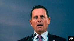 리처드 그레넬 미 국가정보국장 대행.