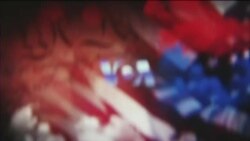 Tamsaasa Guyaadhaa Guyyaa