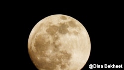 FILE - A full moon in Washington. (Photo: Diaa Bekheet) 