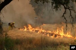 A firefighter with Cal Fire Mendocino Unit takes a rake to flames as a wildfire advances, July 30, 2018, in Lakeport, California.