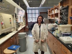 Diandra Soemardi, kandidat Ph.D., peneliti dan pengajar di University of Maryland, AS (dok: Diandra)