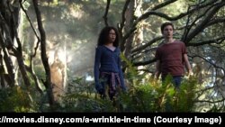 Wrinkle in time