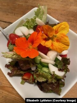 Nasturtium is a commonly eaten flower. It grows well in harsh conditions. Washington, DC resident Elizabeth Lyttleton grows them in a pot on her porch step and uses them in dishes for her family. (Photo: Elizabeth Lyttleton)