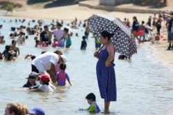 A visitors shields herself with from the sun with an umbrella in the swimming beach at Castaic Lake Saturday, Sept. 5, 2020, in Castaic, Calif. California is sweltering under a dangerous Labor Day weekend heat wave
