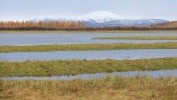 A view of the mountains from the Pleistocene Park nature reserve, outside the town of Chersky, Sakha (Yakutia) Republic, Russia, September 13, 2021. (REUTERS/Maxim Shemetov)