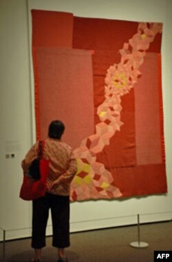 Amerika hindilərinin milli muzeyi