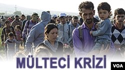 بسیاری از مهاجرین و پناهجویان از طریق قاچاقبران با قبول خطرات جدی حتی مرگ تلاش کرده اند تا از جنگ و خشونت کشور شان فرار کنند