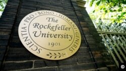 როკფელერის უნივერსიტეტი