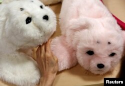 Seorang penghuni panti menyentuh robot anjing laut 'PARO' di panti wreda Shin-tomi di Tokyo, Jepang, 2 Februari 2018.