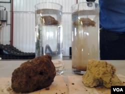 Water filtered through the no-till soil (left) was clearer and had less sediment, than the water that ran off the tilled soil (right).