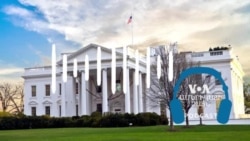 Թրամփի թիմը