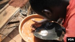 (Photo Chris Stein/VOA)