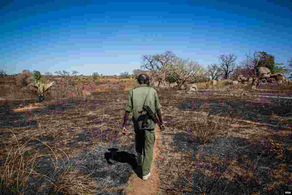 An SPLA-N rebel soldier guides us through burned fields towards the front line. Destroyed by shelling and Antonov bombings all the villages here are now abandoned. (Adam Bailes/VOA News)