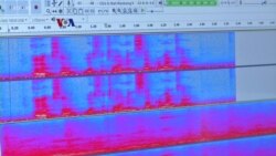 Meningkatkan Akurasi Mikrofon dan Speaker Pintar di tengah Kebisingan