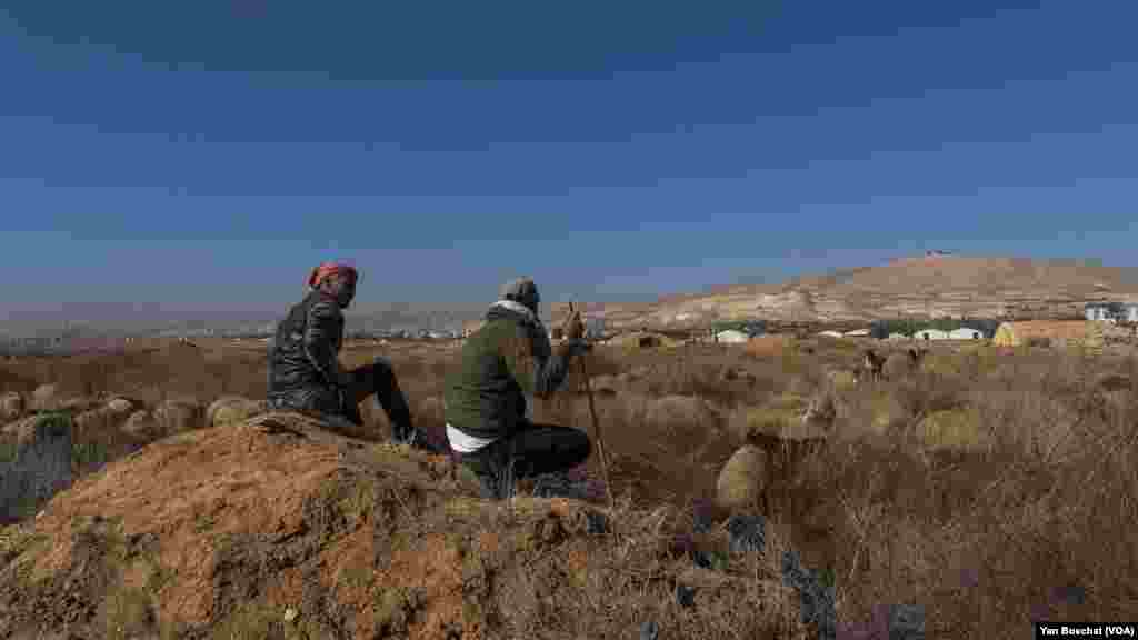 Farmers that live around the Mazzeh air base started bringing their sheep to be fed around the edge of the airport after the Israelis air strikes destroyed most of it, in Damascus, on Dec. 19, 2024. (Yan Boechat/VOA)