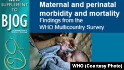 NASA astronaut Kjell Lindgren corrals the supply of fresh fruit that arrived on the Kounotori 5 H-II Transfer Vehicle (HTV-5.) Visiting cargo ships often carry a small cache of fresh food for crew members aboard the International Space Station.