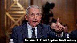 Entoni Fauči svjedoči u Senatu američkog Kongresa (Reuters/J. Scott Applewhite)