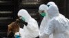 Health Officials Agree on Stronger Bird Flu Monitoring