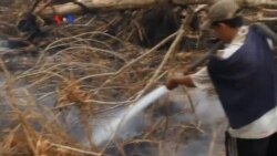 Kebakaran Hutan di Indonesia, Tragedi Yang Bisa Dicegah