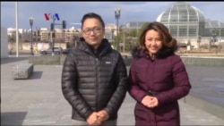 Bolehkah Muslimah Memakai Cadar di Amerika?