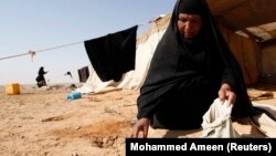 A woman collects and sells Terfeziaceae, or desert truffles, in a desert located south of the city of Samawa, Iraq, about 270 km south of Baghdad, February 10, 2013. (REUTERS Photo/Mohammed Ameen)