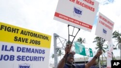Dockworkers from Port Miami display signs at a picket line, Oct. 3, 2024, in Miami.
