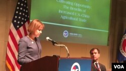 美国贸易代表办公室首席农业谈判代表维特大使在美国全国商会发表讲话（2016年11月21日，美国之音莉雅拍摄）