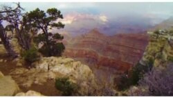 Iz Amerike 38 (28. novembar 2020)