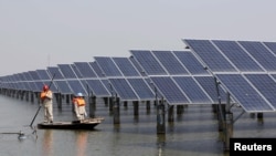 中国江苏省连云港一座池塘内的太阳能电池板。（2016年3月16日）