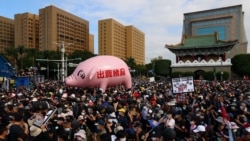 四项公投在即 台最新报告显示中共操弄反“莱猪”资讯引导仇美