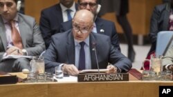 محمود صیقل، نماینده دایمی افغانستان در ملل متحد