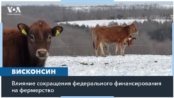 Администрация Трампа и фермеры 