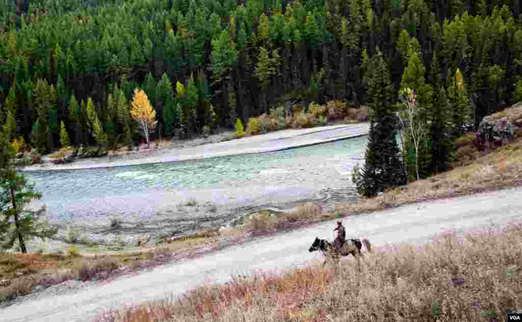 華航在國際花車獎項連續九年稱霸