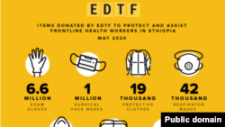 የዳያስፖራ ድጋፍ 