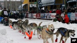 Fabio Berlusconi of Lomazzo, Italy, leaves the start line before the ceremonial start of the Iditarod Trail Sled Dog Race, March 7, 2020, in Anchorage, Alaska.