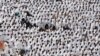 Hajj Pilgrims Reflect on Regional Conflicts