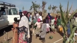 Les victimes de Boko Haram sont en état de stress post-traumatique (vidéo)