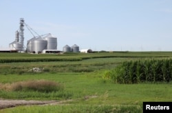 아이오와주의 한 농장. (자료 사진)