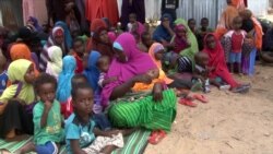 Somalia Declared Free of Polio