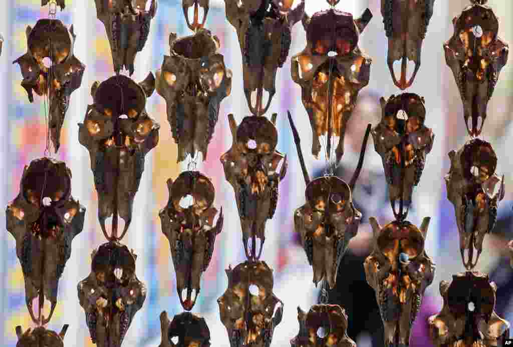 Texasda su parkının işçisi bağlanma tədbirlərinin aradan qaldırılmasından sonra parkı təmizləməyə hazırlaşır.&nbsp;