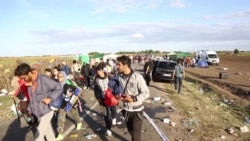 Hungarian Police Struggle to Control Refugee Influx at Serbian Border